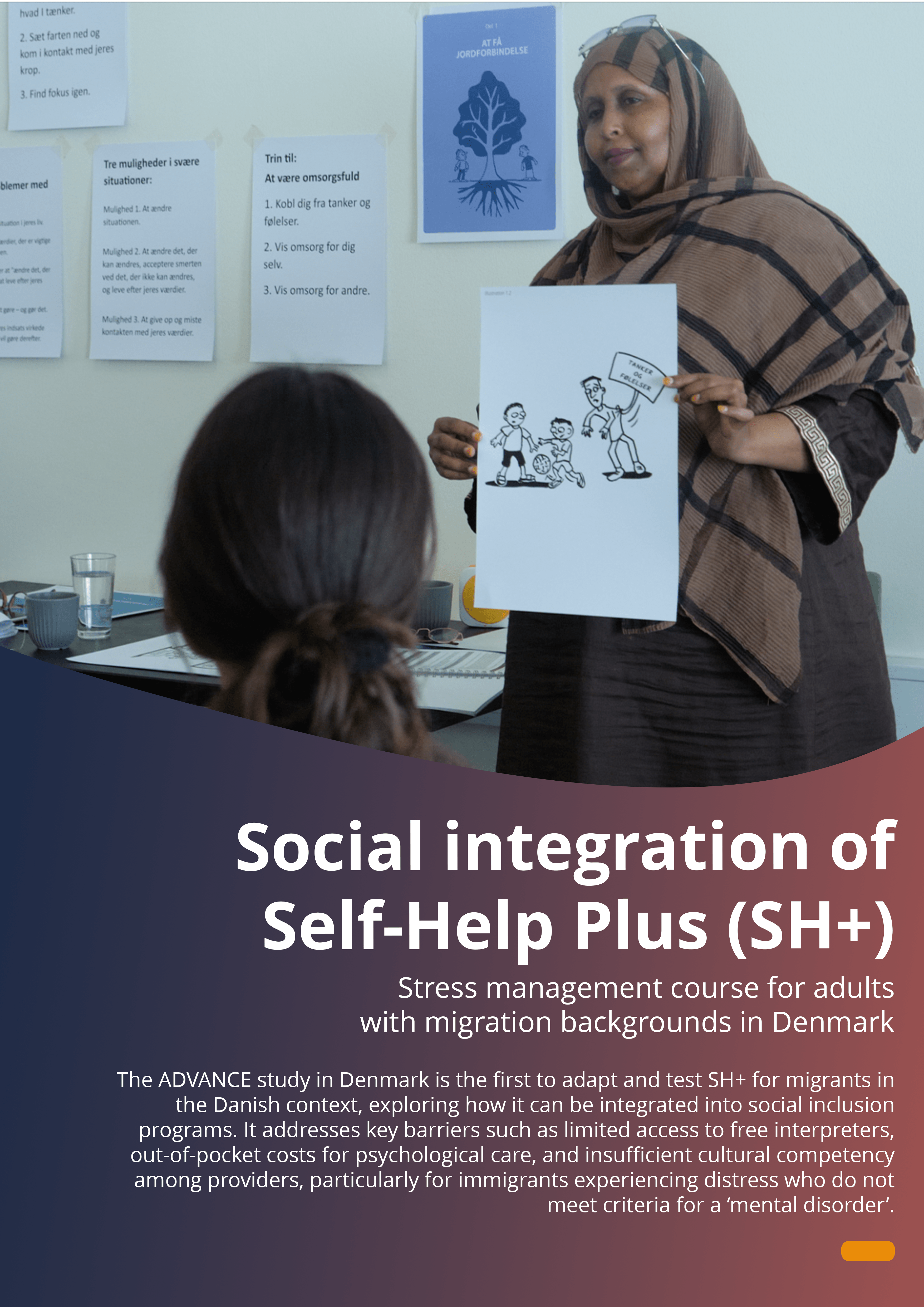 What is the intervention in Denmark What is the intervention in Denmark poster